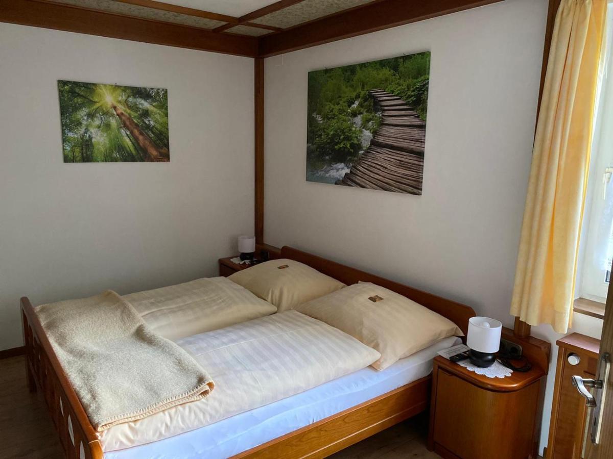 Hotel - Pension Scheiblechner Göstling an der Ybbs Esterno foto